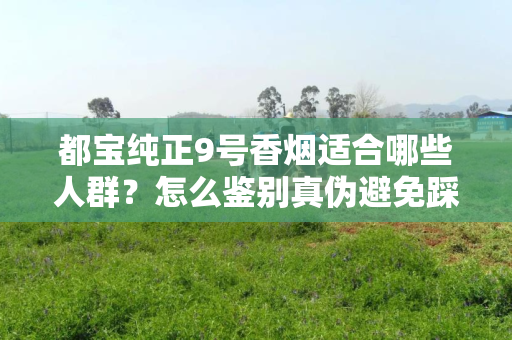 都宝纯正9号香烟适合哪些人群？怎么鉴别真伪避免踩坑？